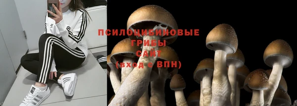 гидра Лихославль
