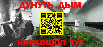 ГАЛЛЮЦИНОГЕННЫЕ ГРИБЫ Берёзовский