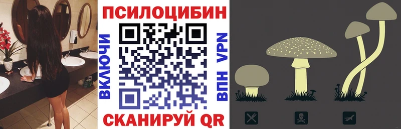 MEGA ONION  Грозный  Псилоцибиновые грибы Magic Shrooms 