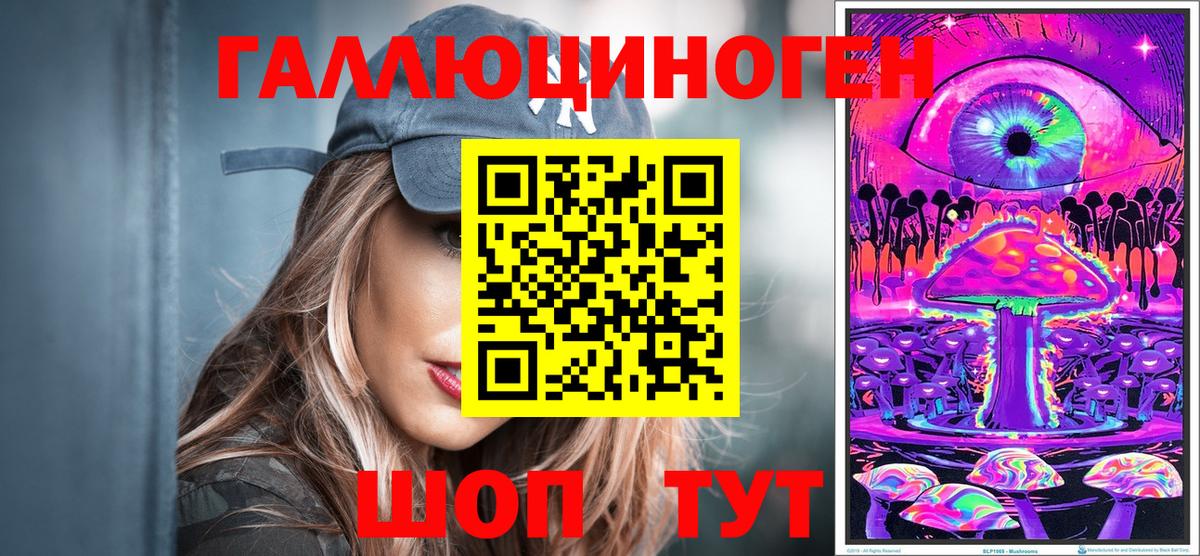 наркота  Грозный  Галлюциногенные грибы Cubensis 