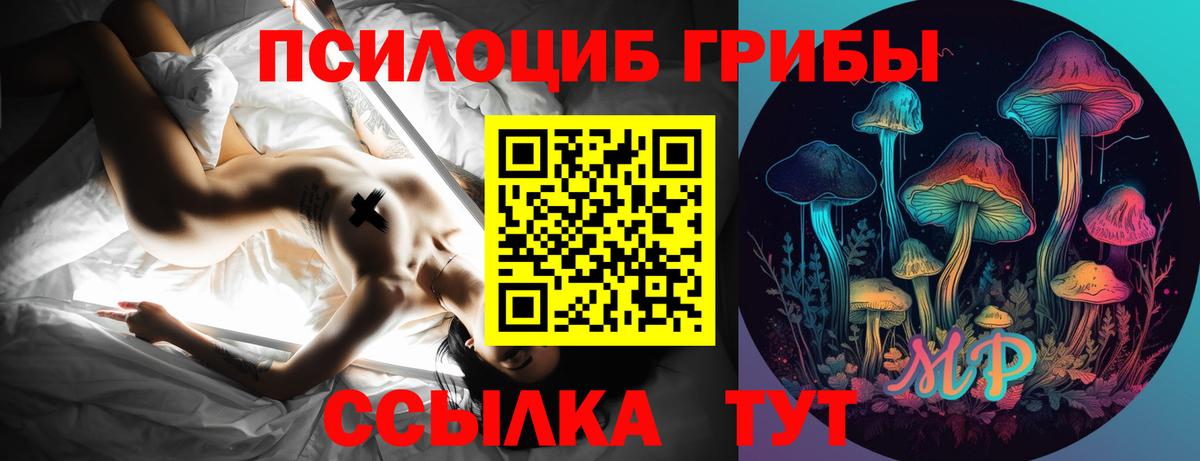 Грозный  Галлюциногенные грибы мицелий  купить   Вход с VPN 
