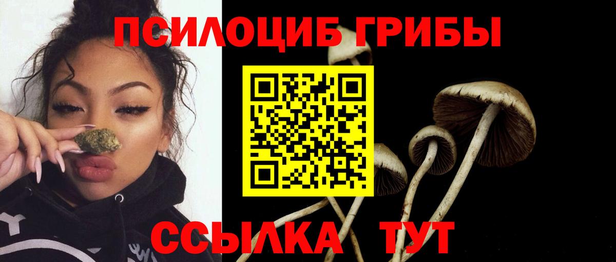 Псилоцибиновые грибы Magic Shrooms Грозный