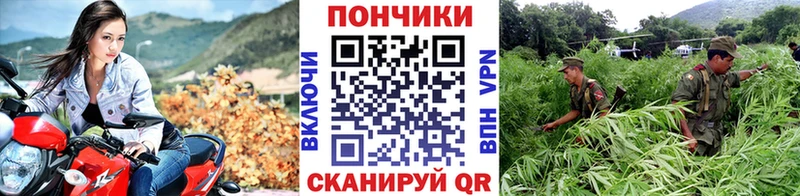 Бошки Шишки LSD WEED  купить наркоту  Грозный 